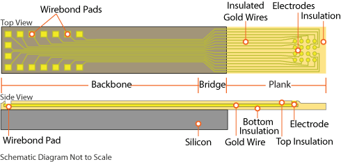 Array Schematic